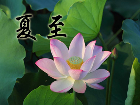 夏至祝福語